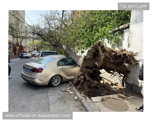 大风中东莞工人被吹得摇摇晃晃，画面震撼，东莞刮大风
